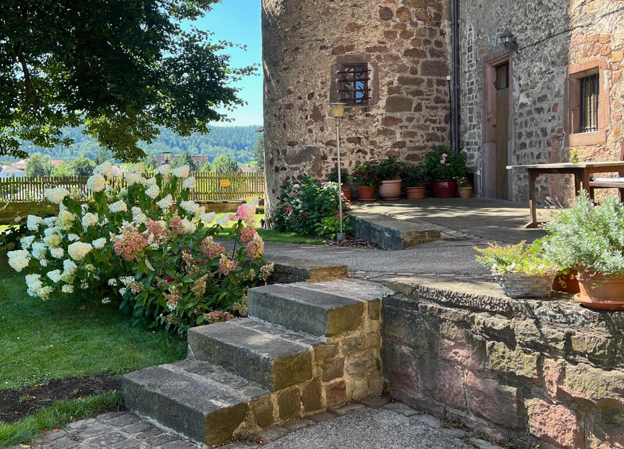 Graefin Amalia - Elegantes Apartment In Der Historischen Hinterburg In Schlitz, 2 Schlafzimmer, Mit Garten, Nahe Fulda Und Bad Hersfeld Exterior photo