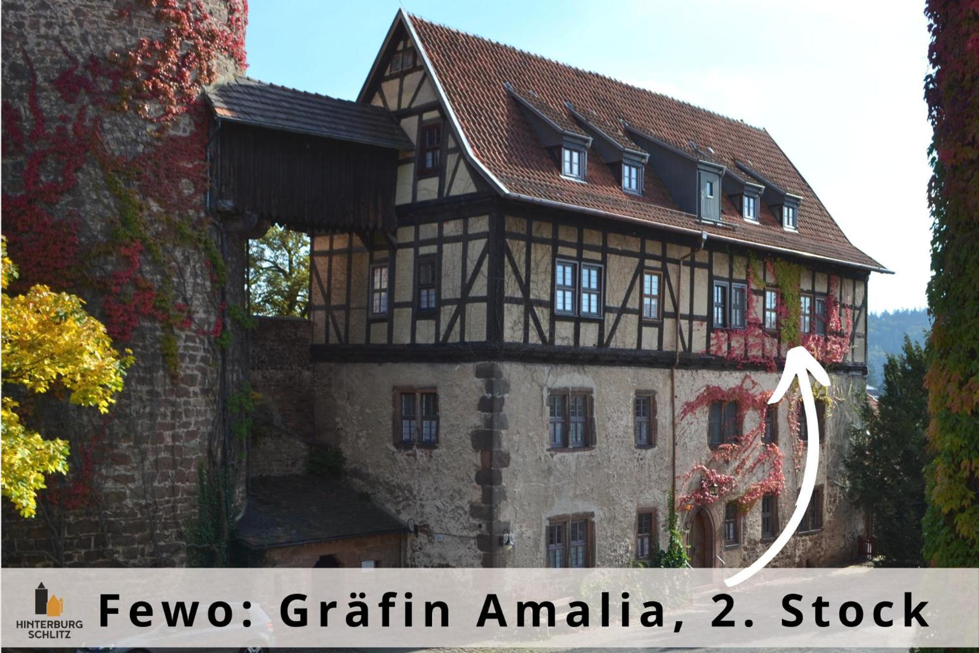 Graefin Amalia - Elegantes Apartment In Der Historischen Hinterburg In Schlitz, 2 Schlafzimmer, Mit Garten, Nahe Fulda Und Bad Hersfeld Exterior photo